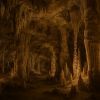 Cueva de las Maravillas : trésor caché